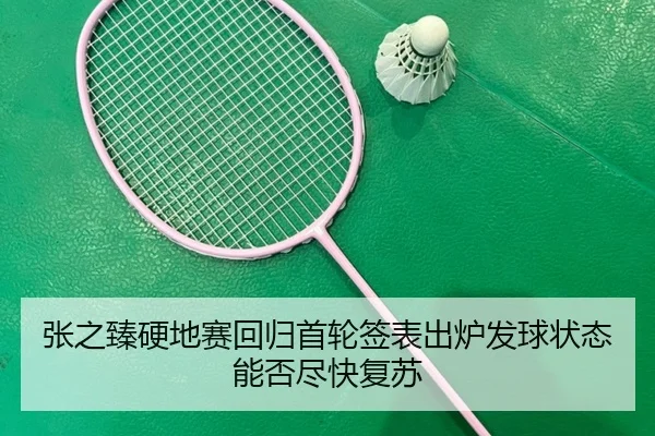 张之臻硬地赛回归首轮签表出炉发球状态能否尽快复苏 - leyu