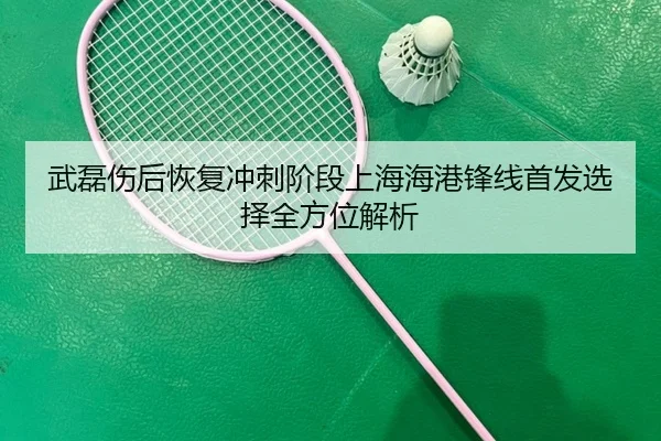 武磊伤后恢复冲刺阶段上海海港锋线首发选择全方位解析 - leyu