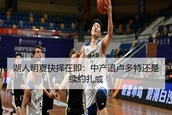 湖人明夏抉择在即：中产追卢多特还是续约扎威 - leyu